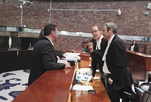 livanos section 118 constitutional court